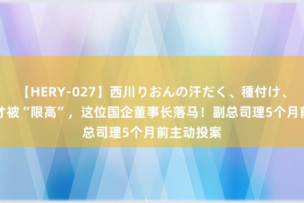 【HERY-027】西川りおんの汗だく、種付け、ガチSEX 才被“限高”，这位国企董事长落马！副总司理5个月前主动投案
