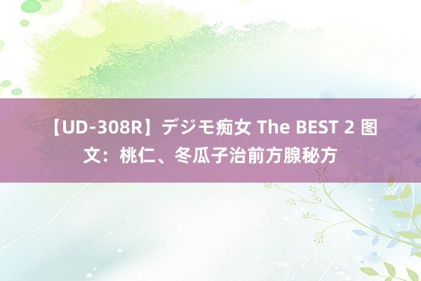 【UD-308R】デジモ痴女 The BEST 2 图文:桃仁、冬瓜子治前方腺秘方