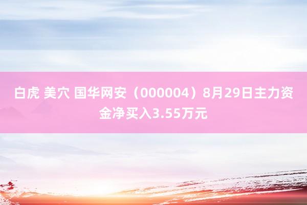 白虎 美穴 国华网安（000004）8月29日主力资金净买入3.55万元