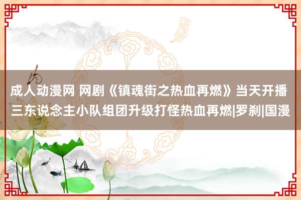 成人动漫网 网剧《镇魂街之热血再燃》当天开播 三东说念主小队组团升级打怪热血再燃|罗刹|国漫
