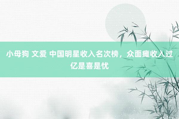 小母狗 文爱 中国明星收入名次榜，众面瘫收入过亿是喜是忧