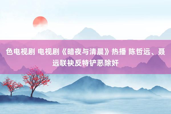 色电视剧 电视剧《暗夜与清晨》热播 陈哲远、聂远联袂反特铲恶除奸