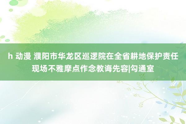 h 动漫 濮阳市华龙区巡逻院在全省耕地保护责任现场不雅摩点作念教诲先容|勾通室