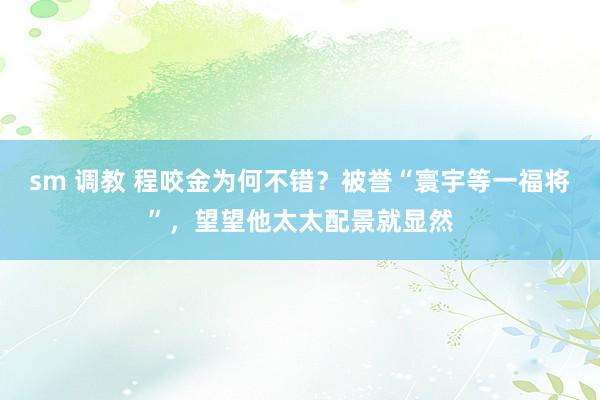 sm 调教 程咬金为何不错？被誉“寰宇等一福将”，望望他太太配景就显然