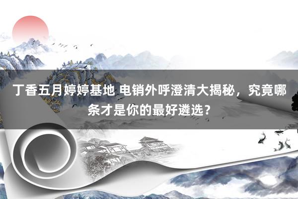 丁香五月婷婷基地 电销外呼澄清大揭秘，究竟哪条才是你的最好遴选？