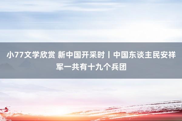 小77文学欣赏 新中国开采时丨中国东谈主民安祥军一共有十九个兵团